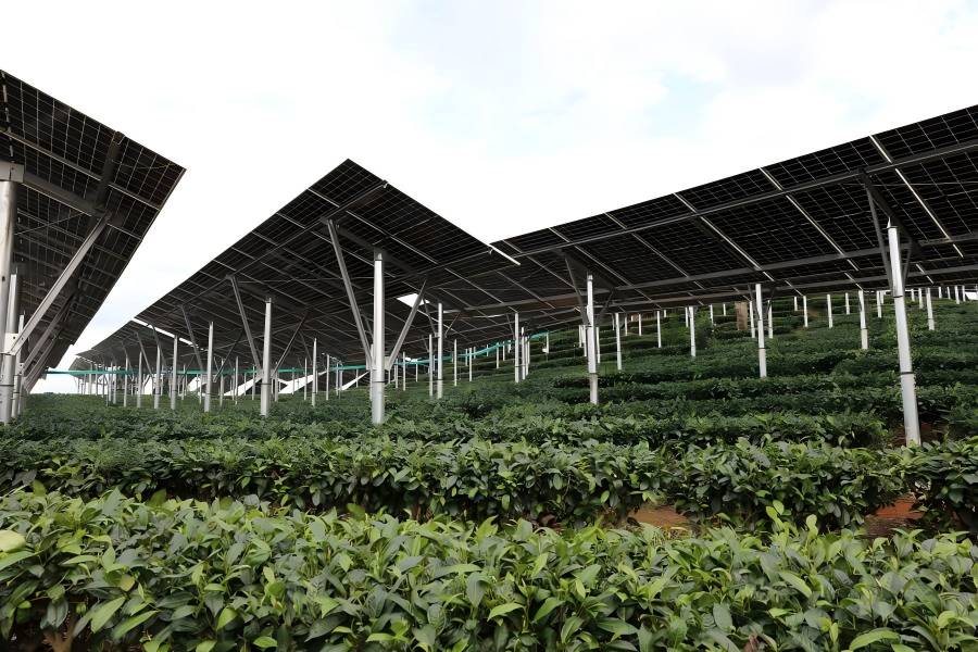 网信快3集团喜获80MW光伏项目保险性建设指标， 绿色能源发展迈出坚实一步！
